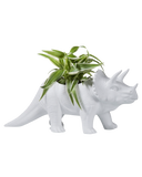 TRICERATOPS DINOSAUR PLANTER