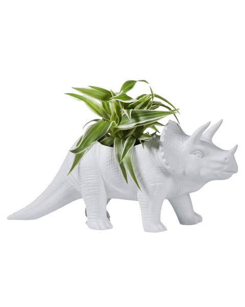 TRICERATOPS DINOSAUR PLANTER