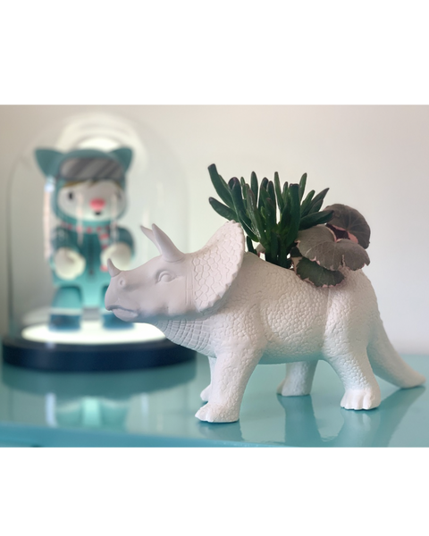 TRICERATOPS DINOSAUR PLANTER