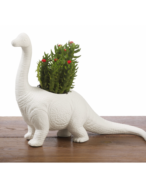 PLANTOSAURUS