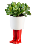 WELLINGTON BOOT PLANTER (SMALL)
