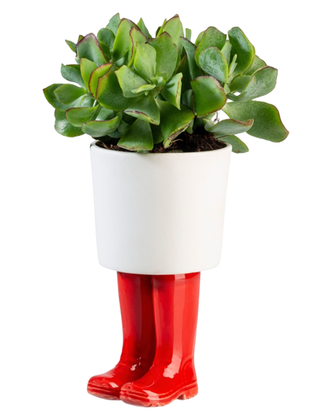 WELLINGTON BOOT PLANTER (SMALL)