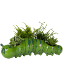 CATERPILLAR PLANTER