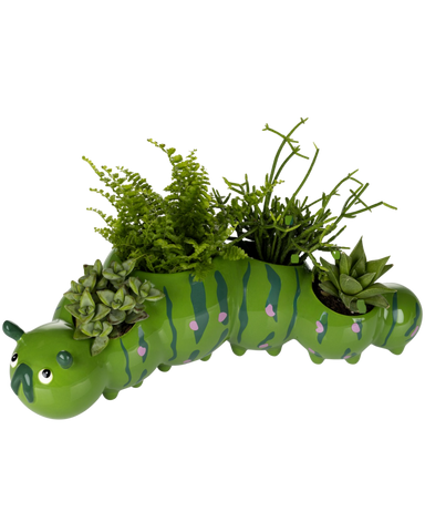 CATERPILLAR PLANTER