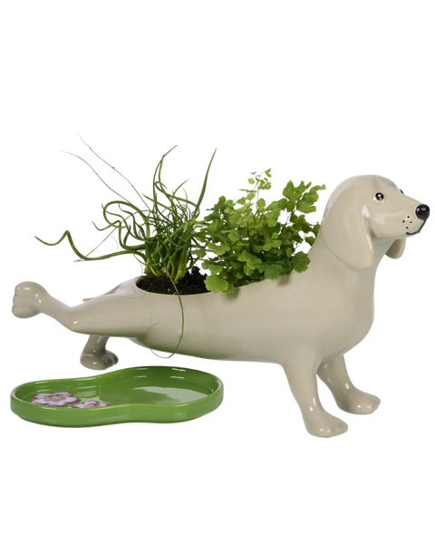 PEEING DOG PLANTER