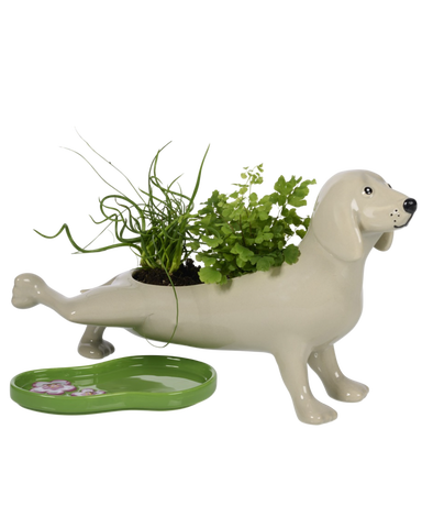 PEEING DOG PLANTER