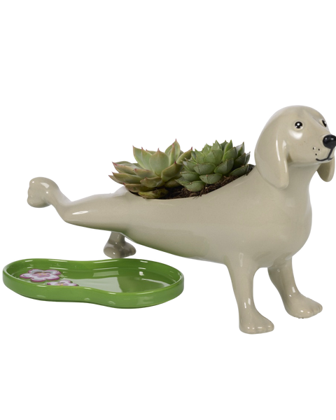 PEEING DOG PLANTER