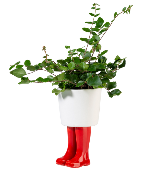 WELLINGTON BOOT PLANTER (LARGE)