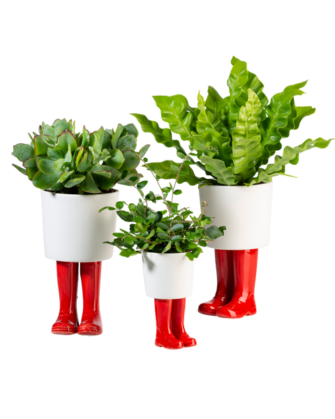 WELLINGTON BOOT PLANTER (LARGE)