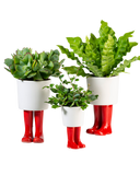 WELLINGTON BOOT PLANTER (SMALL)