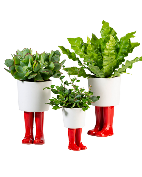 WELLINGTON BOOT PLANTER (SMALL)