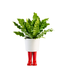 WELLINGTON BOOT PLANTER (SMALL)