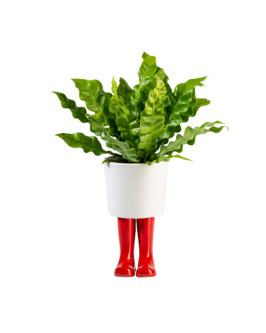 WELLINGTON BOOT PLANTER (SMALL)